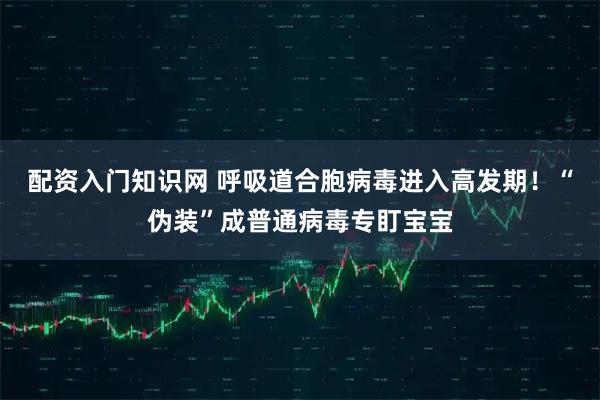 配资入门知识网 呼吸道合胞病毒进入高发期！“伪装”成普通病毒专盯宝宝